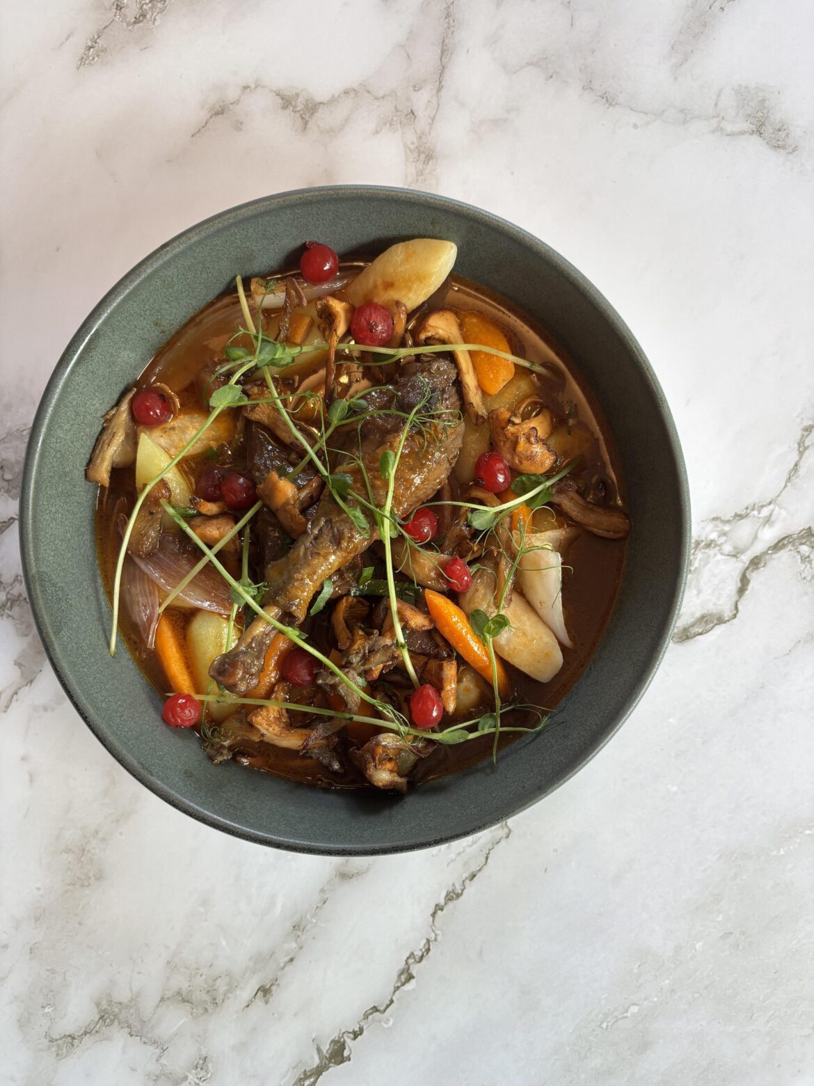 Slow-Cooked Pheasant Stew with Forest Mushrooms and Lingonberries