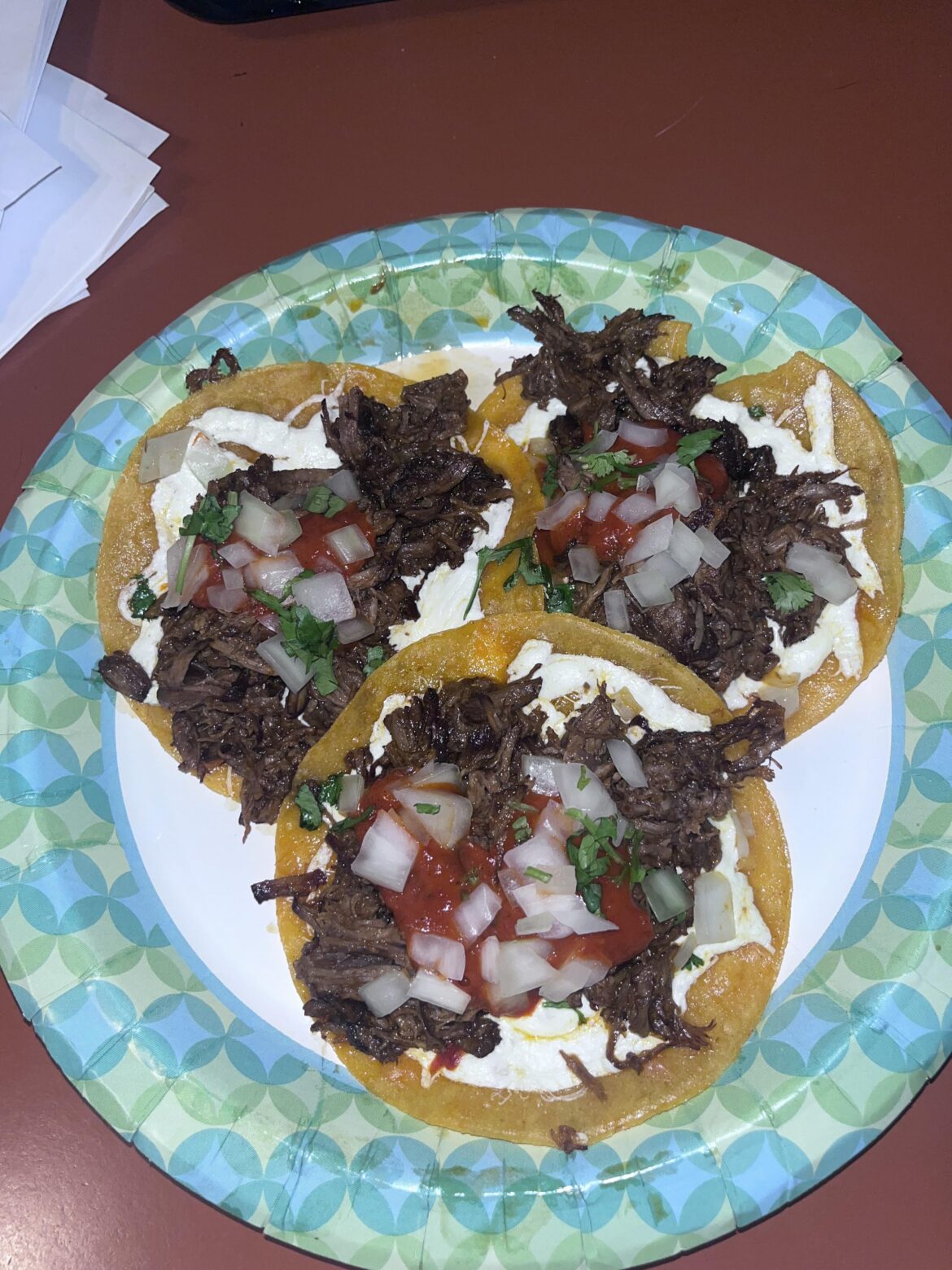 First time making birria