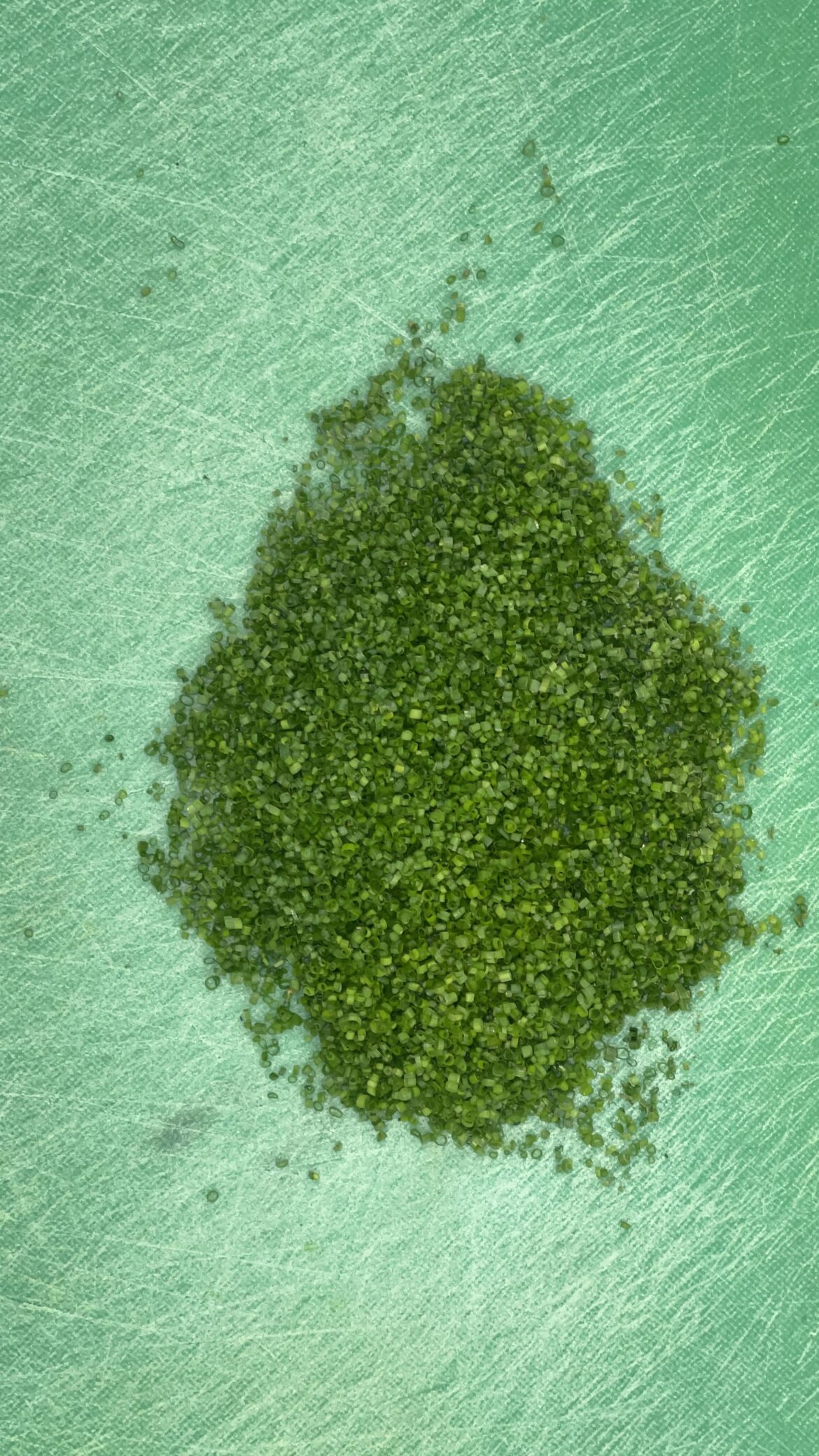 Cutting a cup of chives every day until this Reddit says they’re perfect they’re perfect. Day 11