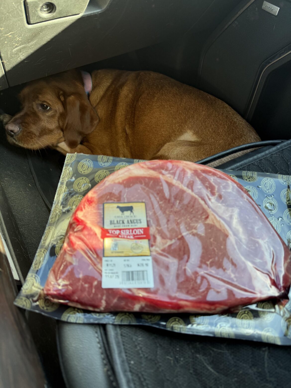 Tips on a top sirloin?