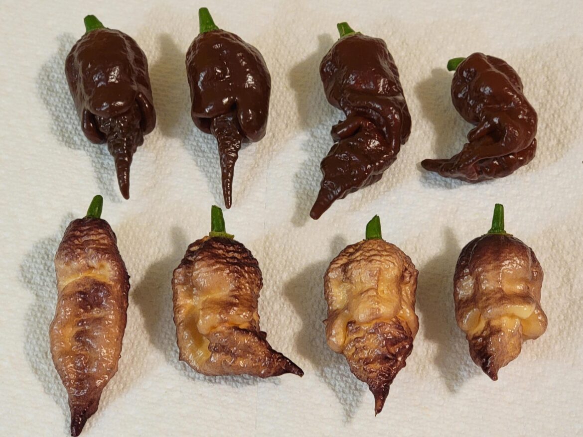 The gnarliest of this year's superhots.