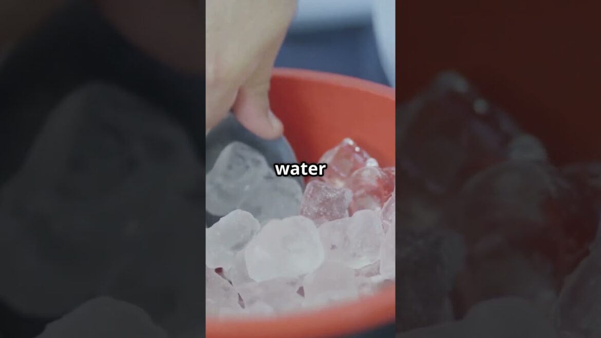 SECRETS to PERFECT FALAFEL