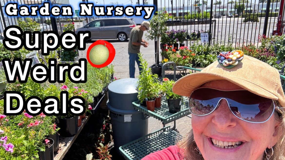 Super Garden Nursery DEALS on FOREVER Herb Tree, mini Cucumbers Geranium Peppers Watermelon Eggplant