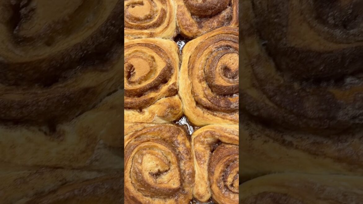 Homemade Cinnamon Rolls Recipe! Easy and Delicious!