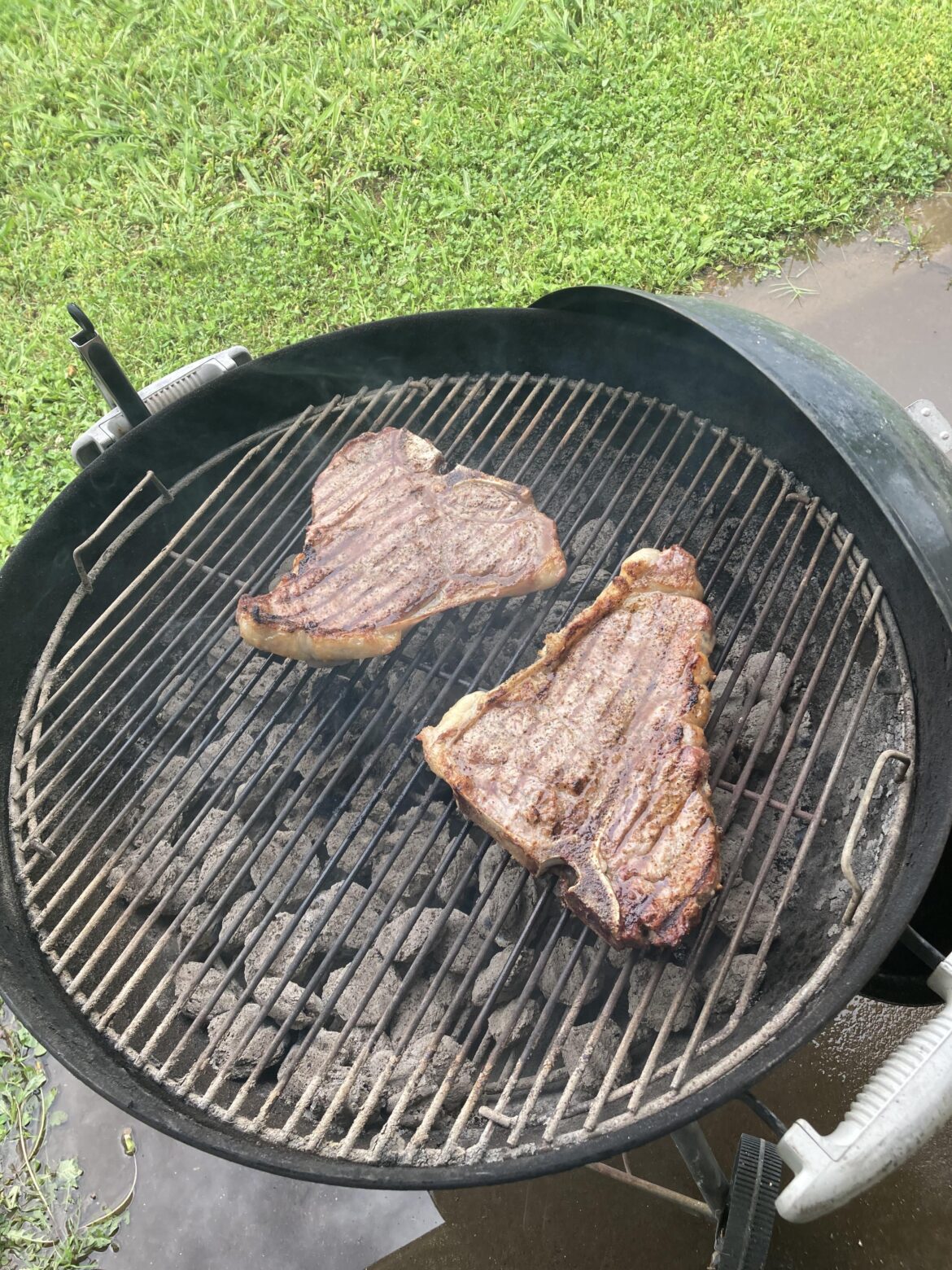 Over 10 years old and still cooks like new