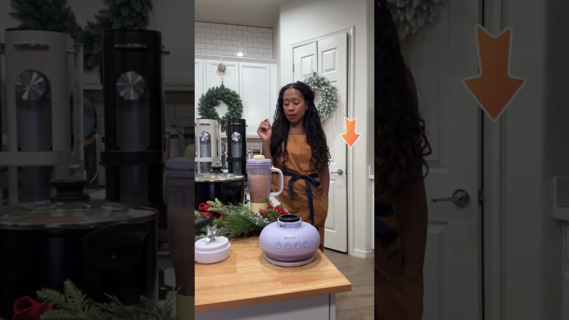 Ninja BlendBOSS™ Tumbler Blender - Lavender Lemonade - DB301PRBRN