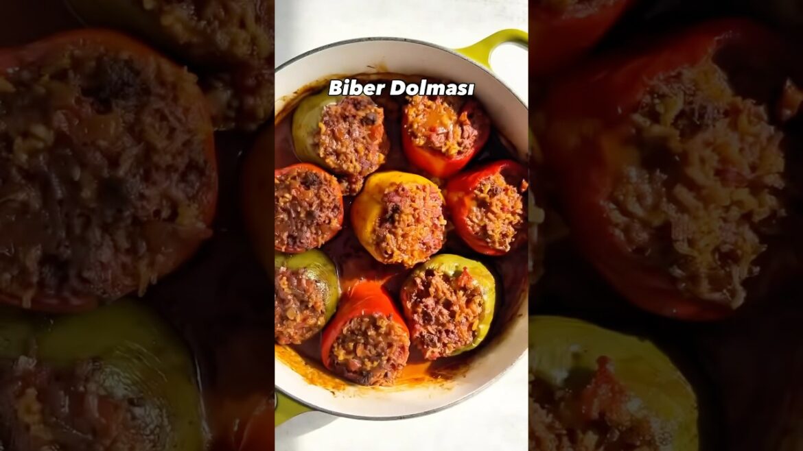 bugün izle bugün ögren biber dolması tarifi