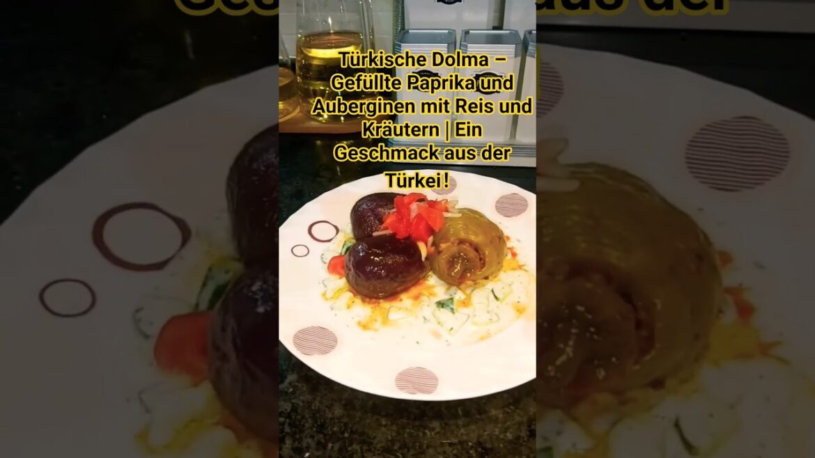 Türkische Dolma–Gefüllte Paprika und Auberginen mit Reis und Kräutern | Ein Geschmack aus der Türkei