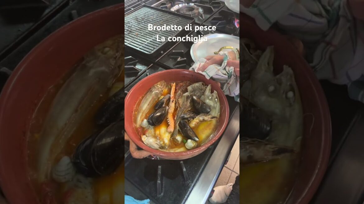 Brodetto di pesce la conchiglia Fossacesia Marina