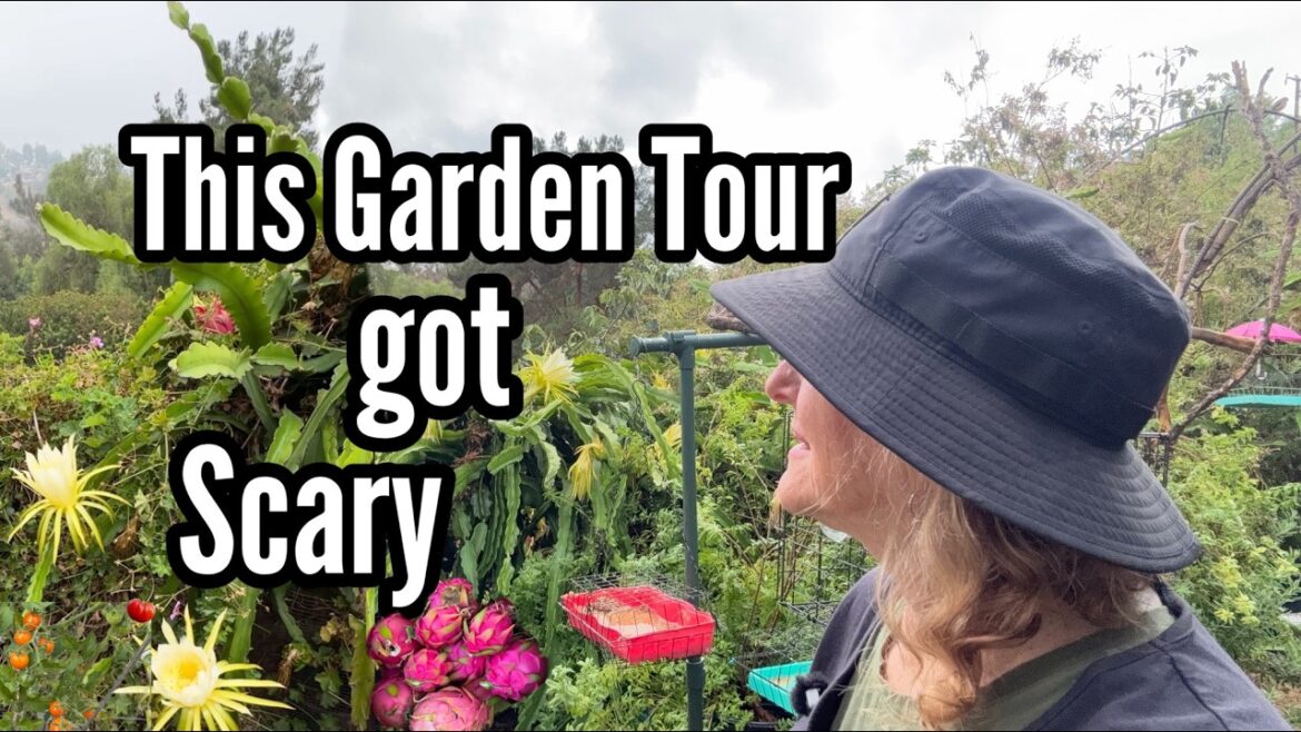 Garden Tour w/Follower Hiding in Bushes a Walk in the Vegetable Gardens after the Windy Thunderstorm