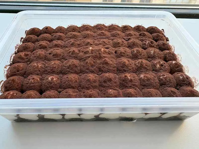 Tiramisu Classic Italian Pastries, 17.6 oz