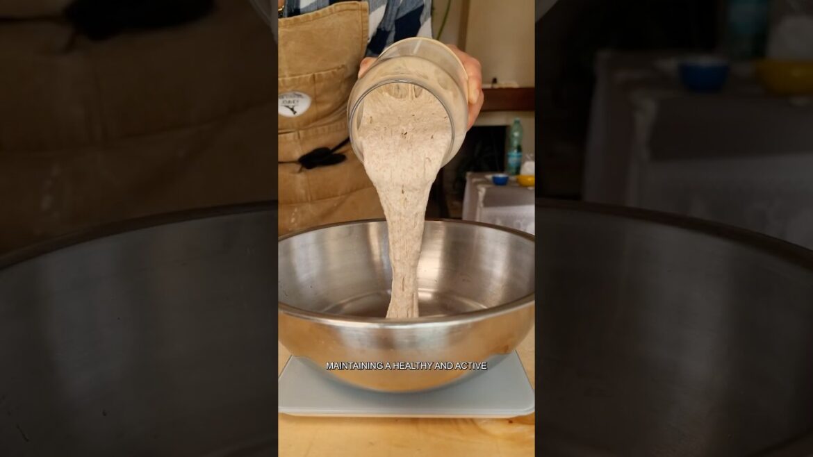Rosemary and Olive Oil Sourdough