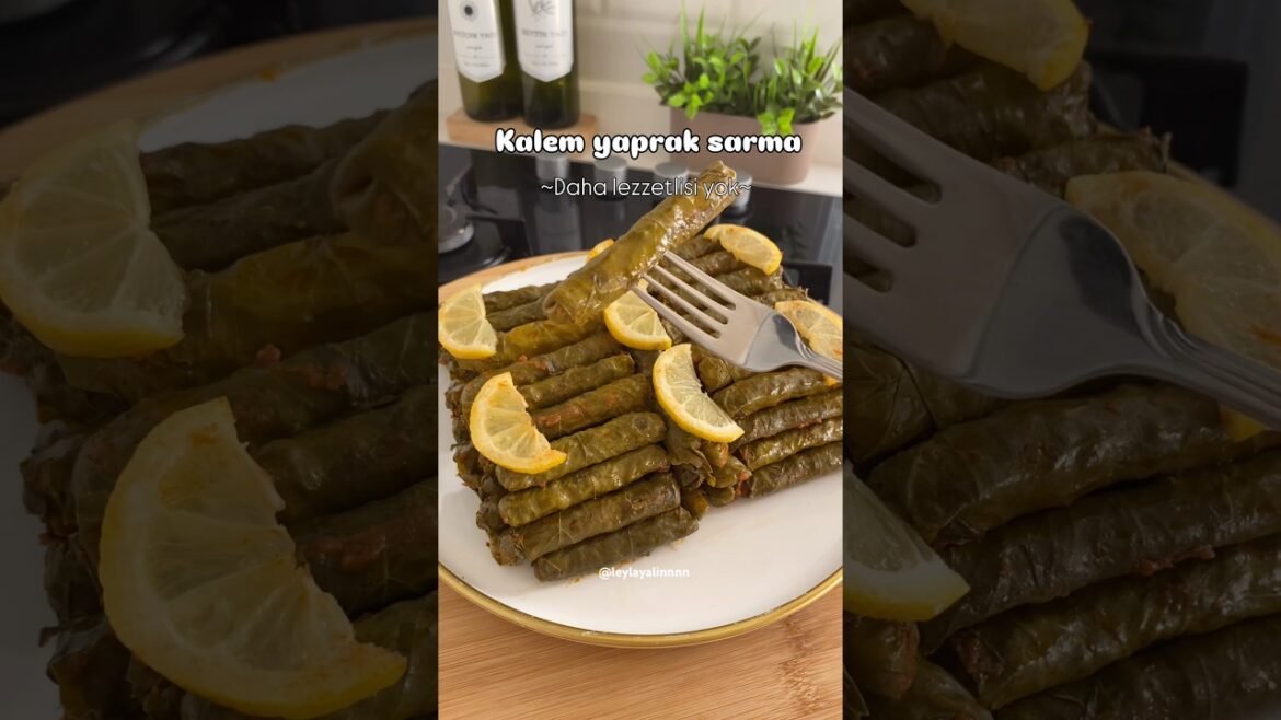 Kalem gibi yaprak sarma