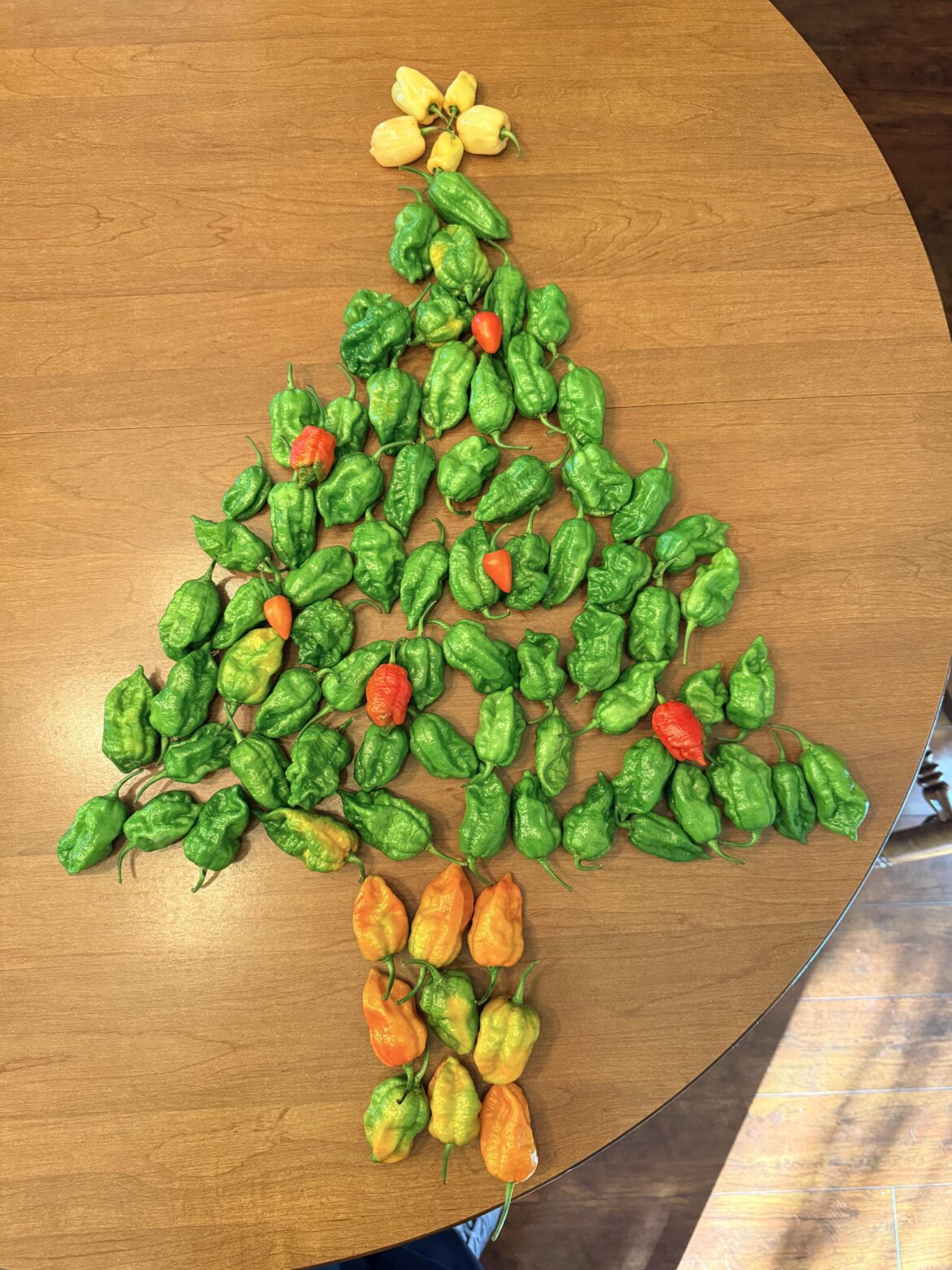 Left my wife with the peppers