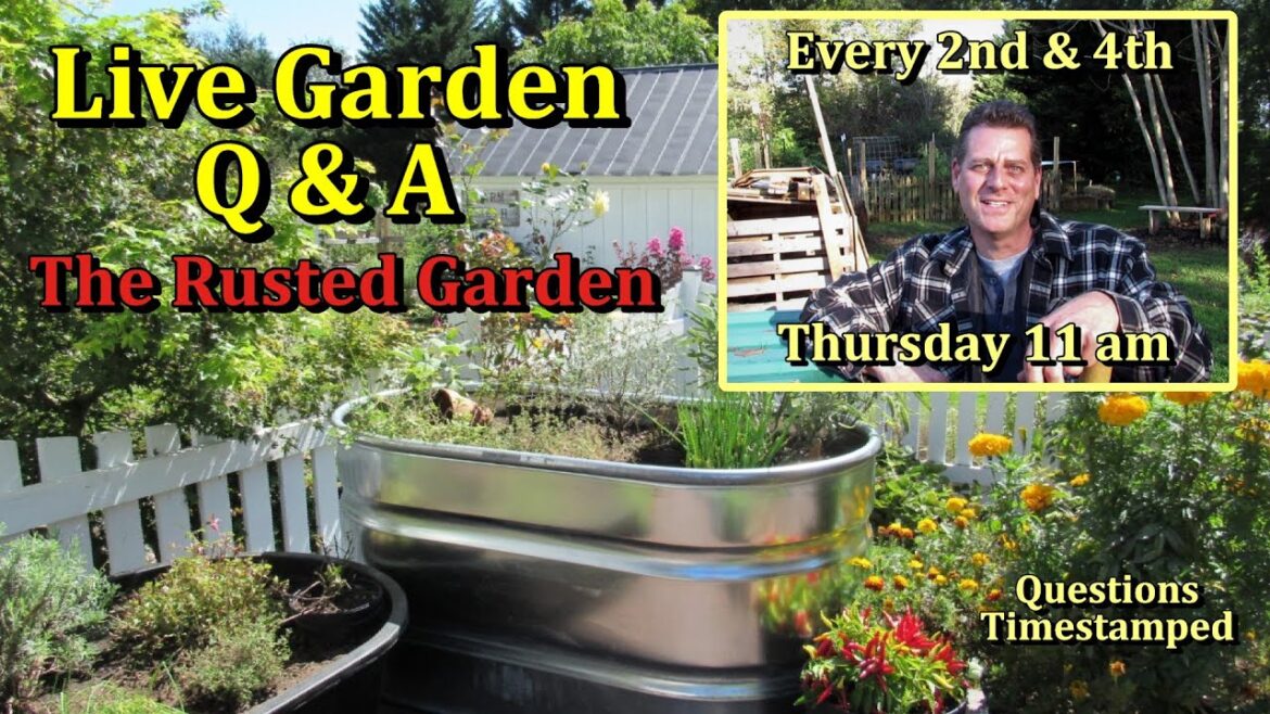 Putting Your Garden Beds to Rest (Vegetable Gardening Live  Monthly Questions & Answers E-63)
