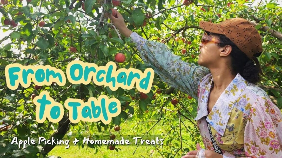 Cozy Fall Apple Recipes from Orchard to Table | Apple Picking & Baking Cozy Fall Apple Recipes from Orchard to Table | Apple Picking & Baking