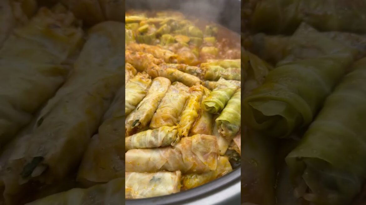 Malfouf Mahshi (stuffed cabbage roll) and kusa vegetables