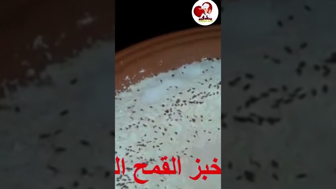 الخبز الكامل بدون تعب بالشعير Khobz Dar