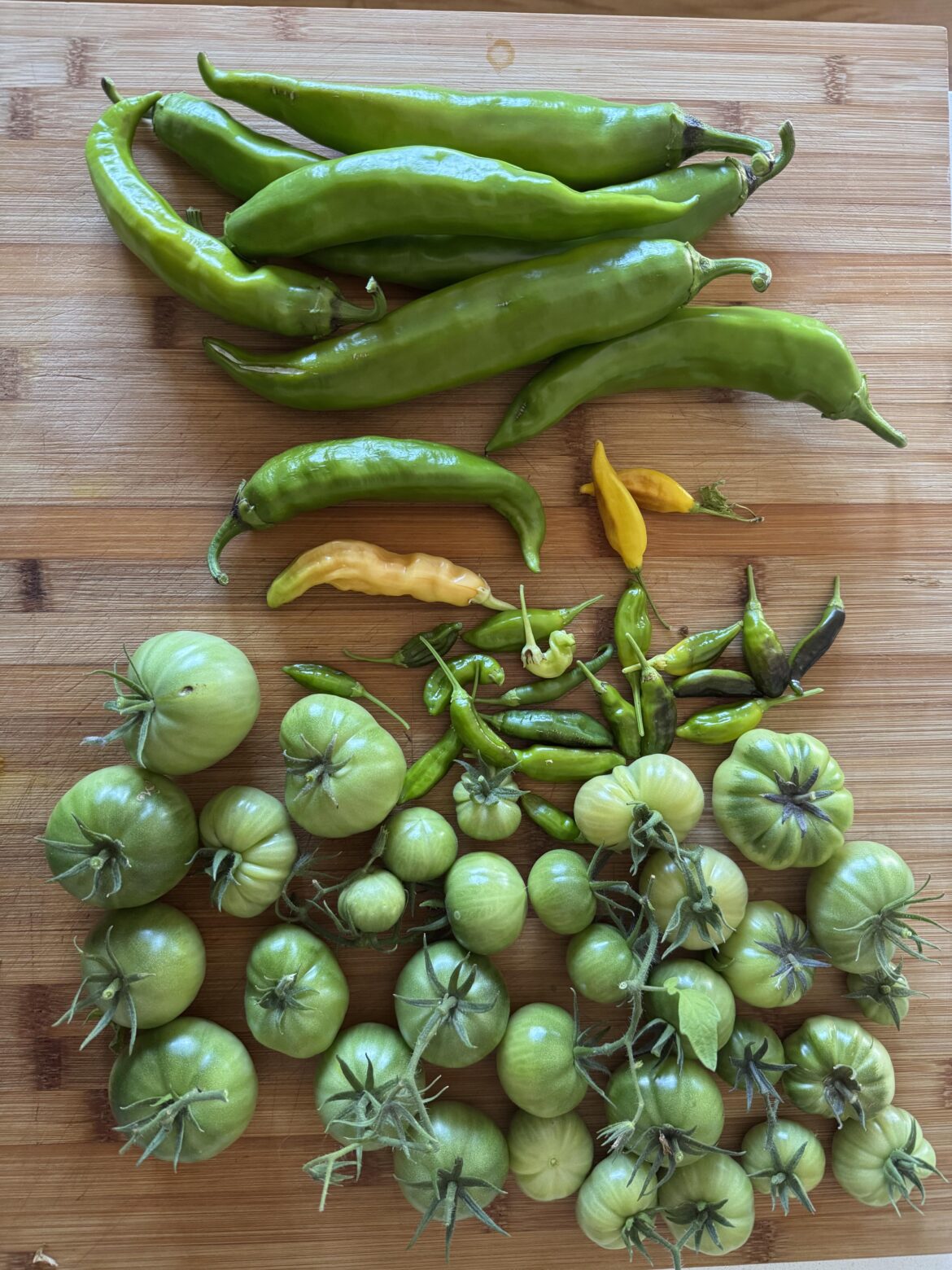 Times up. What can I make with this?