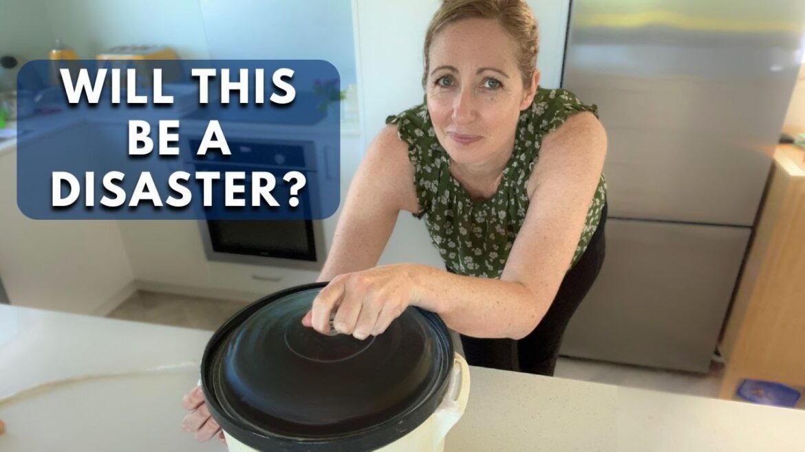 Best Beef Stew Recipe | Slow Cooking during a natural DISASTER