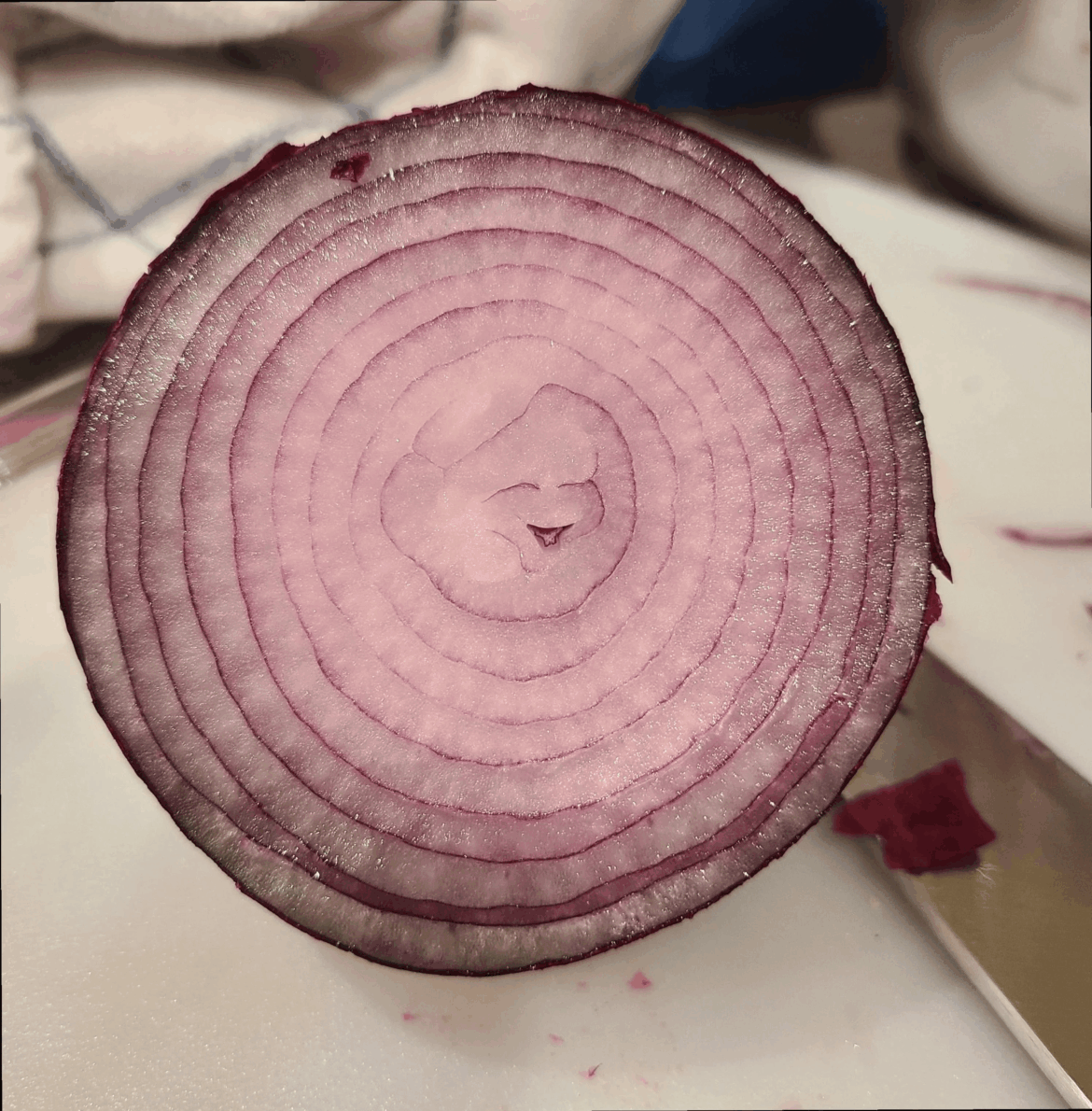 Look how happy this onion is to simply be an onion! 😊