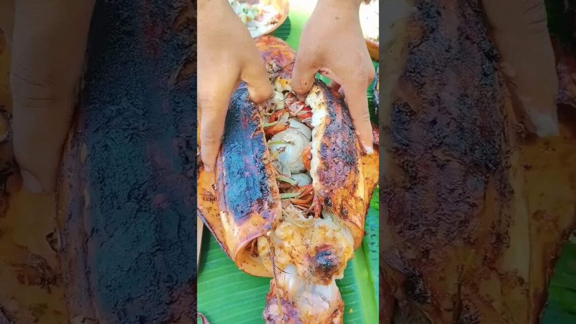 Perfectly Grilles Squids on Beach