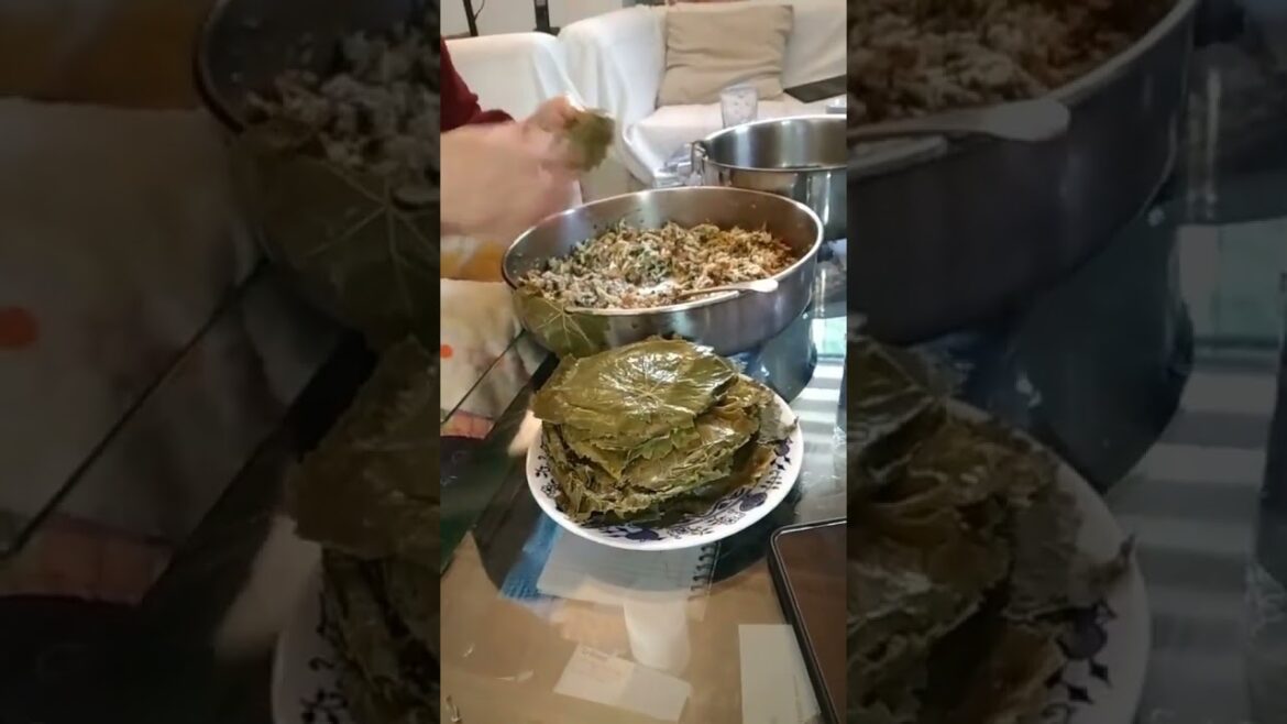 I make traditional stuffed grape leaves I make traditional stuffed grape leaves