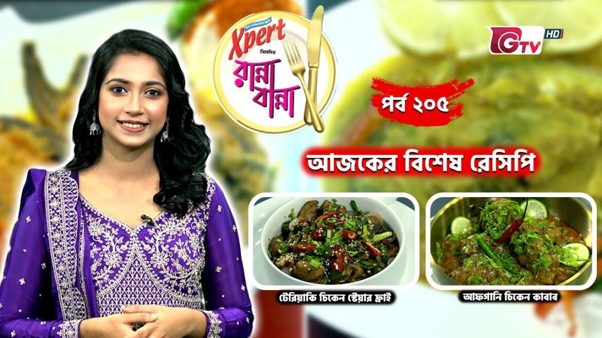 টেরিয়াকি চিকেন স্টেয়ার ফ্রাই | আফগানি চিকেন কাবাব | EP 205 | Ranna Banna | GTV Cooking Show