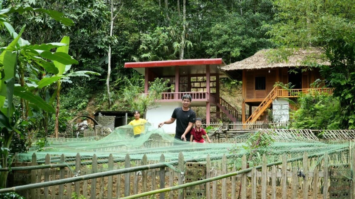 Garden Design: Smart vegetable garden of Binh's family - Chúc Tòn Bình