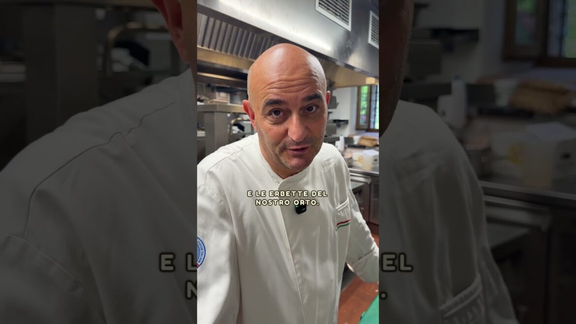 Filetto di branzino marinato alle erbette con flan di zucchine e mela grigliata.