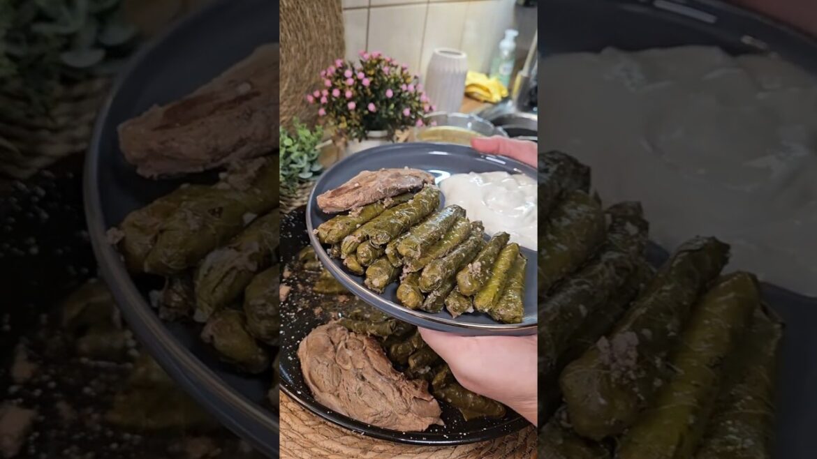 Warak Enab – Libanesische Gefüllte Weinblätter | Familienrezept aus dem Libanon Warak Enab – Libanesische Gefüllte Weinblätter | Familienrezept aus dem Libanon
