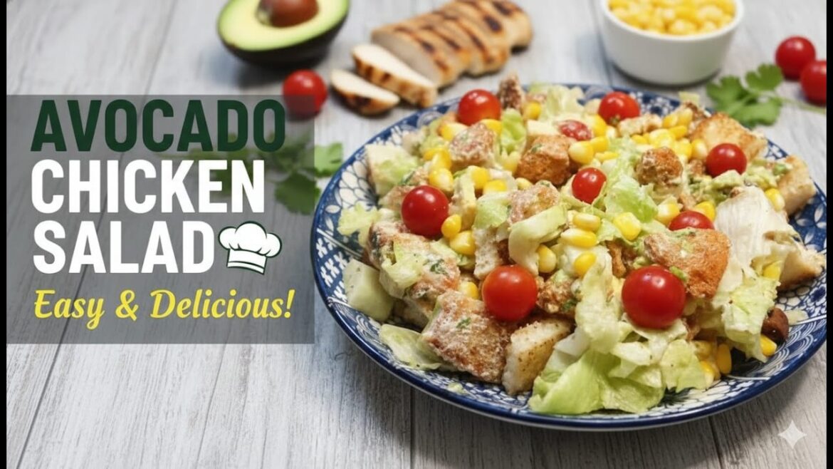 Chicken Fajita Salad Recipe | Healthy Avocado Chicken Recipe | Chicken Salad Chicken Fajita Salad Recipe | Healthy Avocado Chicken Recipe | Chicken Salad