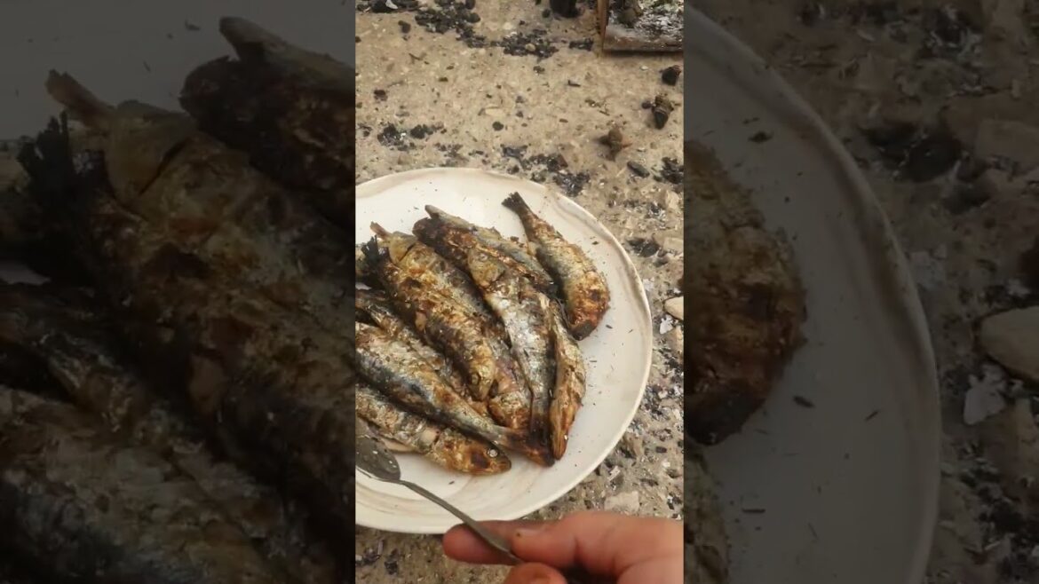 عشاق سردين مشوي #قنوات_الاسرة_العربية #جبالة #الشمال_المغرب #قنوات #وصفات_سهلة #قنوات_جديدة