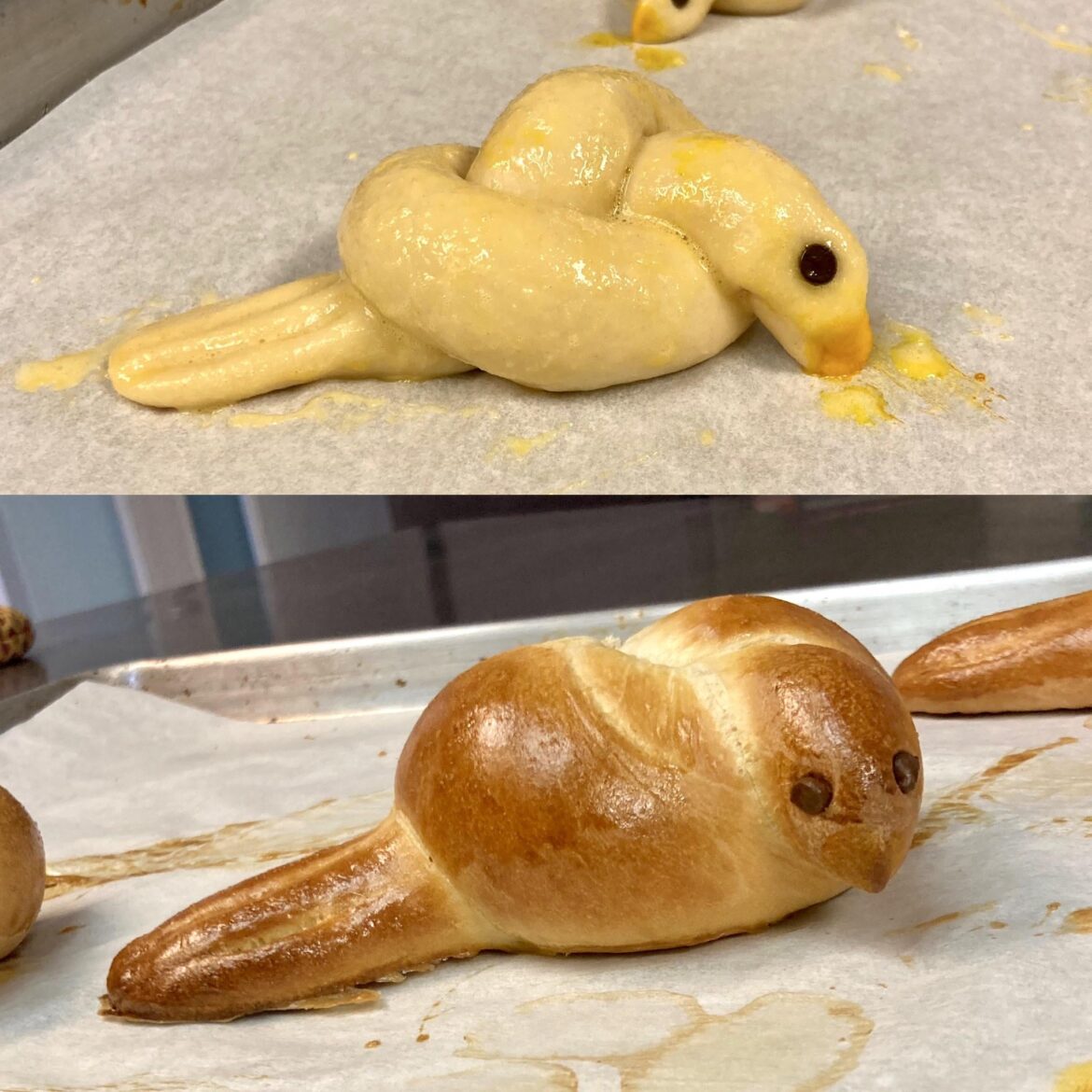 [pro/chef] wheat dove