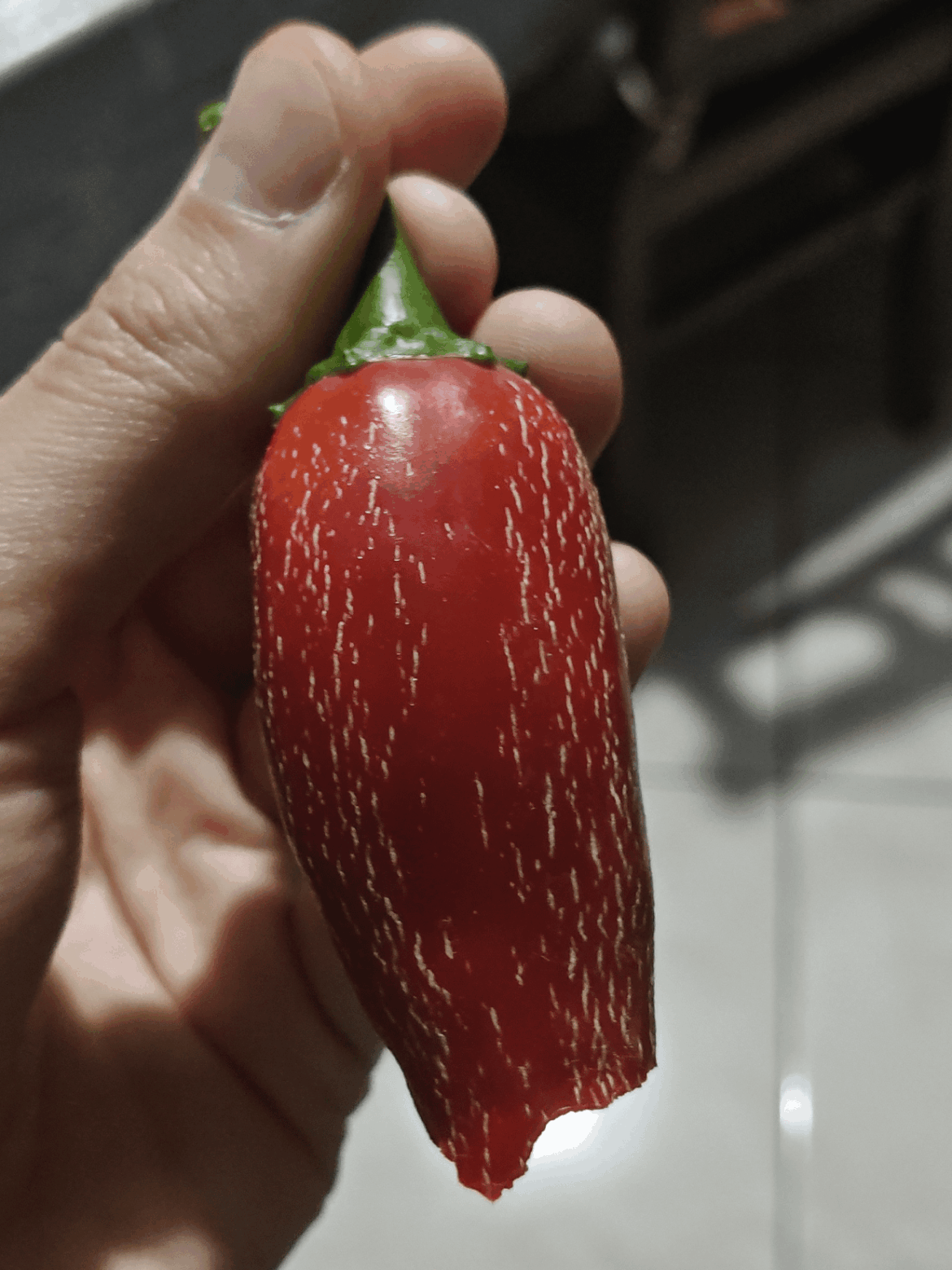 What the hell did I just bite into? What the hell did I just bite into?