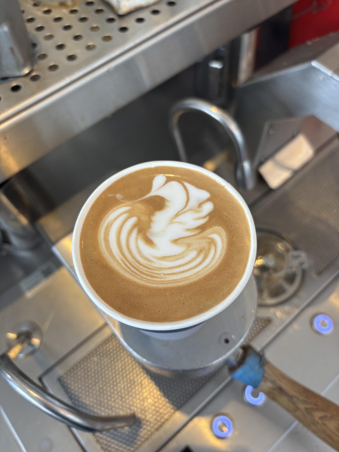 latte art help,,, the swan