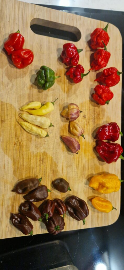 God loves a cheerful giver!