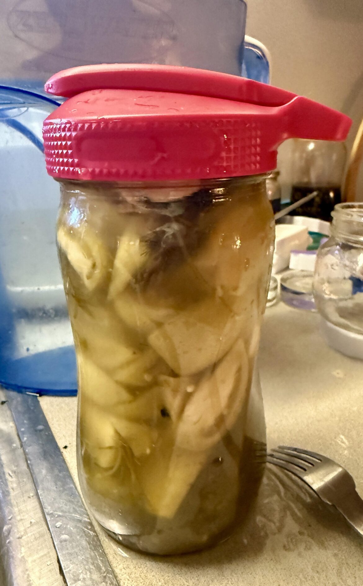 Fermented Green Pickles! Easy and scrumptious!