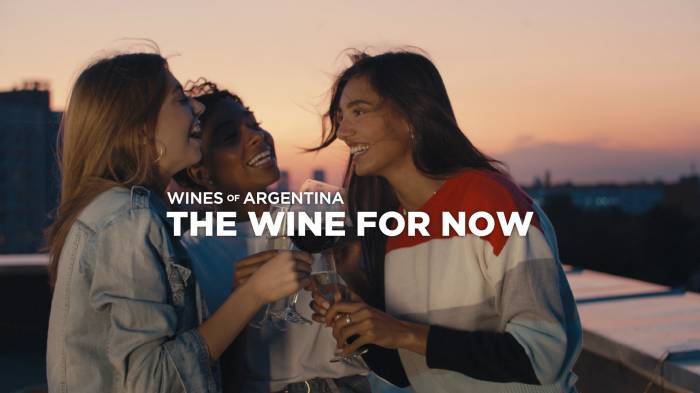 Nearly 40% of Argentine Wine Exports Now Go to U.S. and Brazil Amid Global Rebranding Push