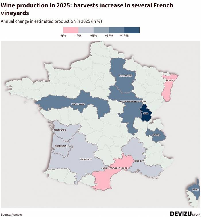 French Wine Production to Drop 1% in 2025, Remaining 16% Below Five-Year Average