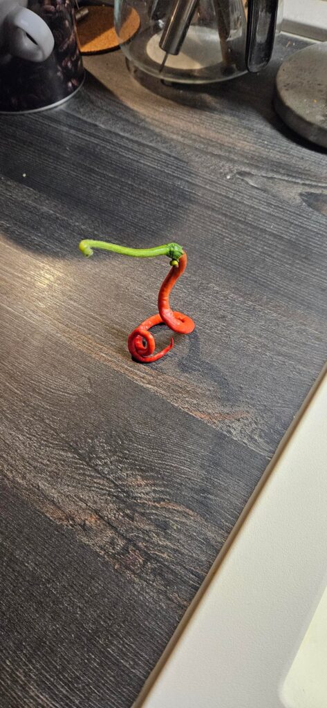 Here's the freak show of my TML harvest