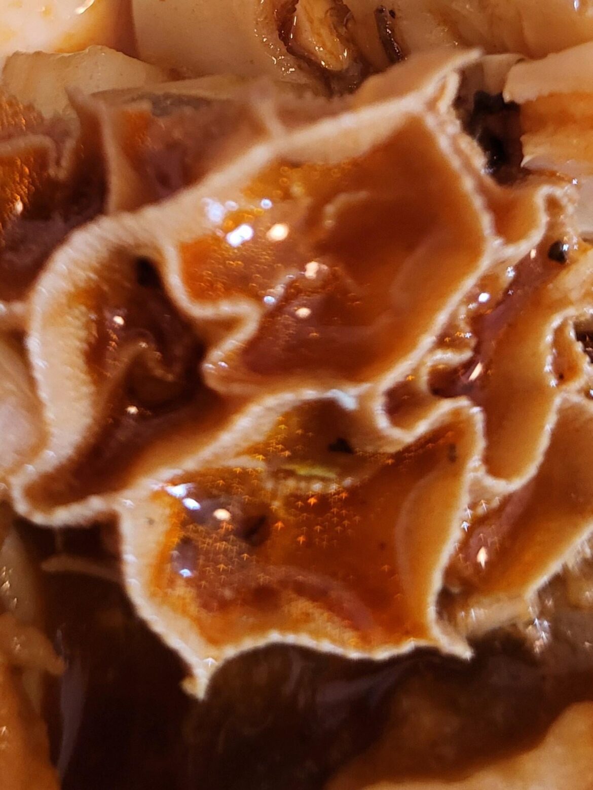 Do you like honeycomb tripe or book tripe more? I like it all myself.