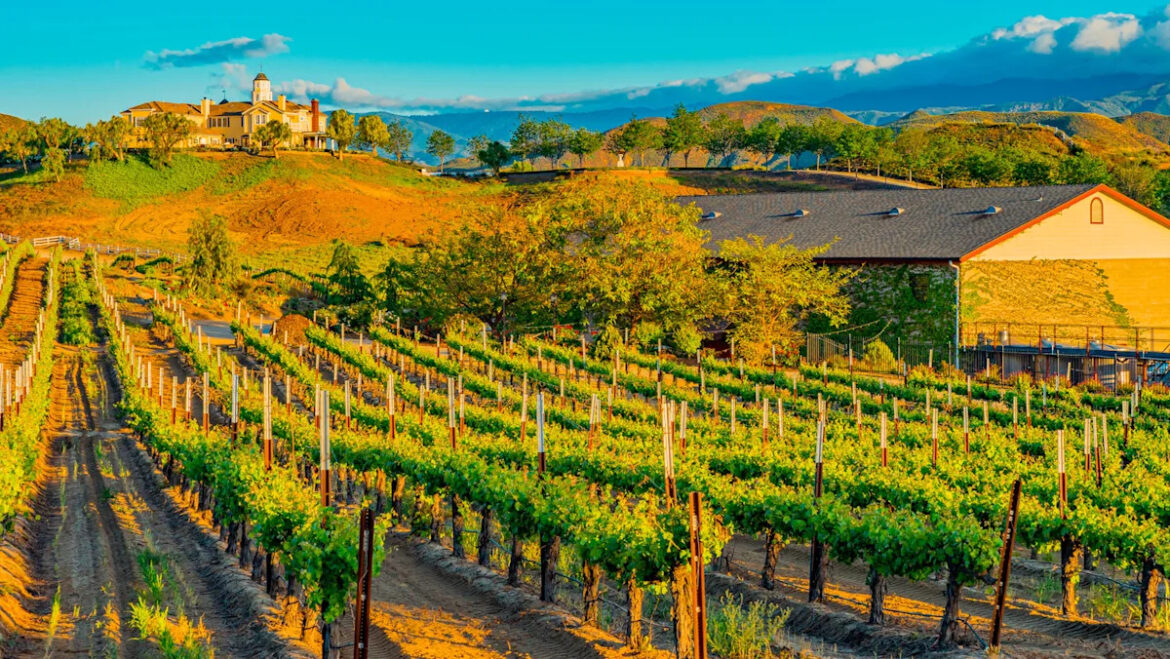 Southern California’s Wine Amusement Park Is A Resort Built To Mimic Villages In Spain, France, And Italy Yahoo lifestyle home