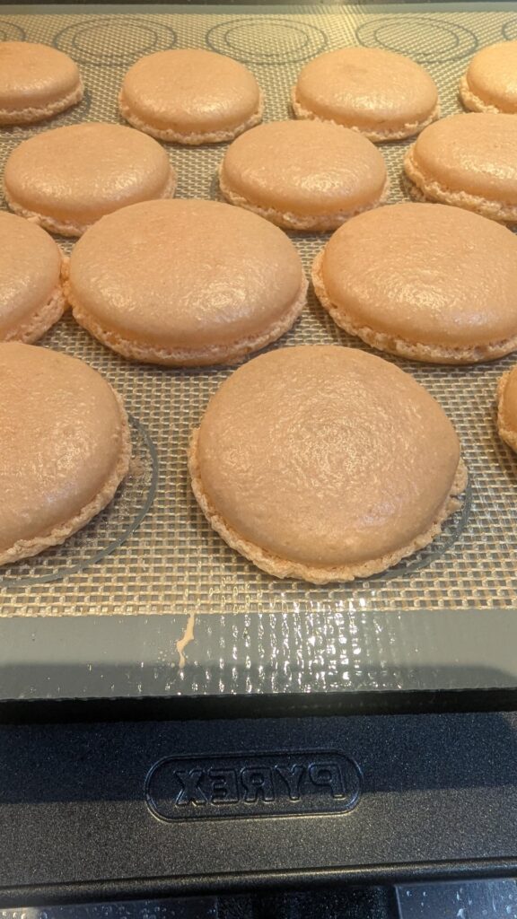 First timer, advice please 🙏🏻 First timer, advice please 🙏🏻