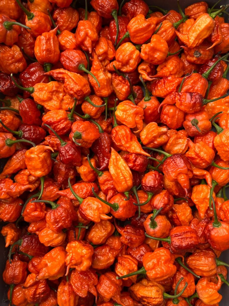 End of Season Pickings