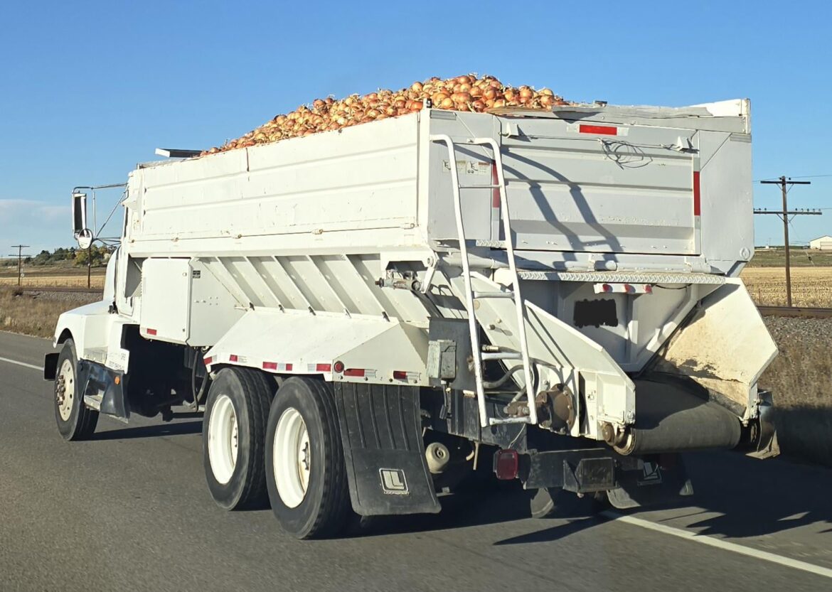 Which one of you ordered this pile of onions?