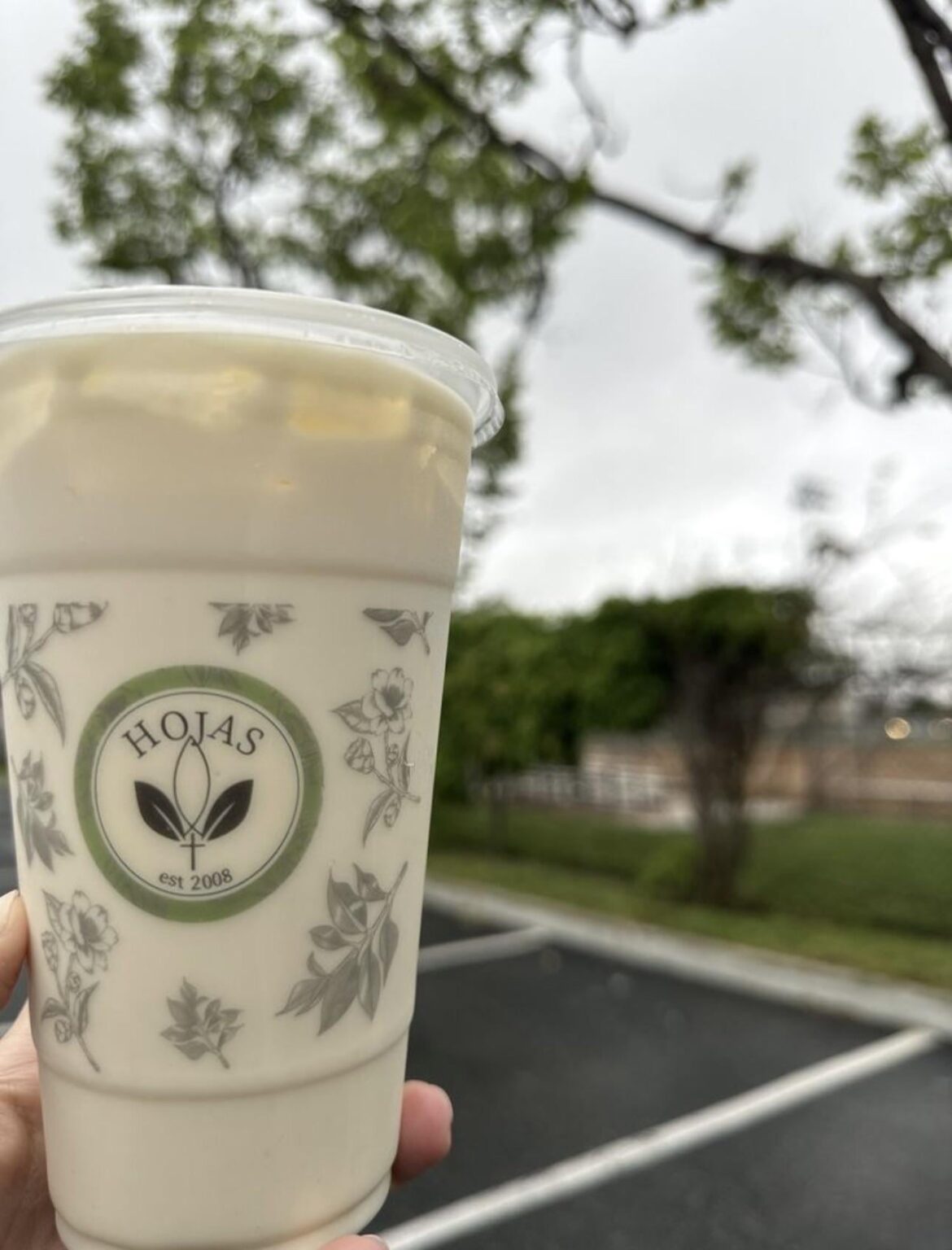 Hojas Tea House (Wilmington)