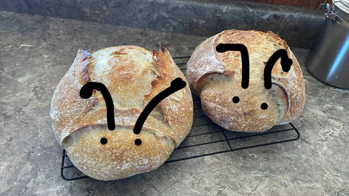 For some reason, they came out looking like ladybugs this time