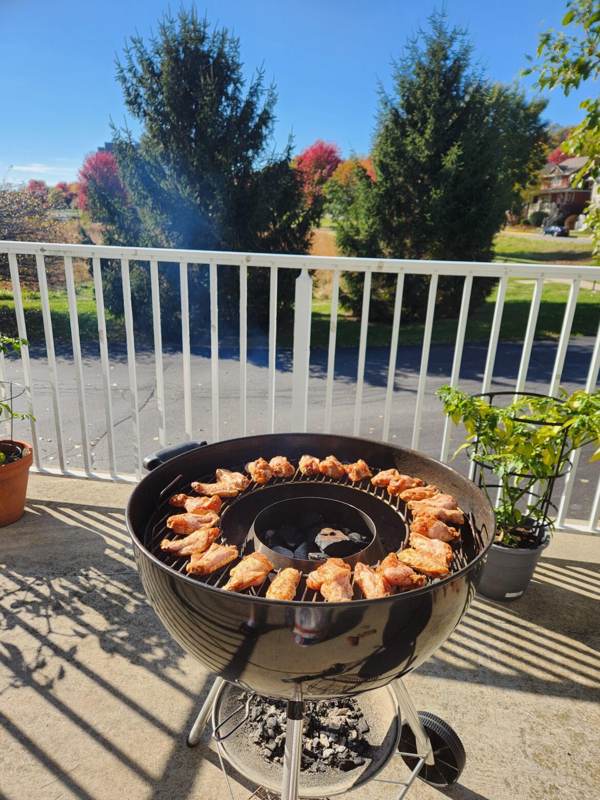 Sunday afternoon wings