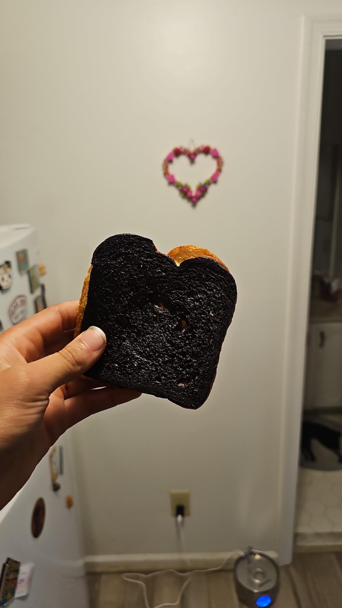 Just made my first grilled cheese, couldn't be happier with the results